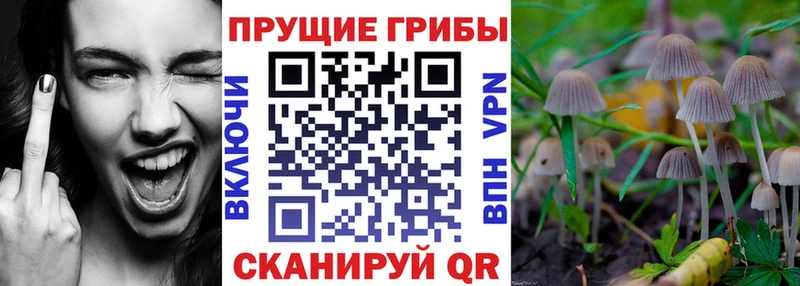 Псилоцибиновые грибы GOLDEN TEACHER  где купить   маркетплейс официальный сайт  Калтан  kraken  
